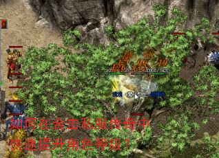 如何在合击私服传奇中快速提升角色等级? 如何在合击私服传奇中快速提升角色等级?