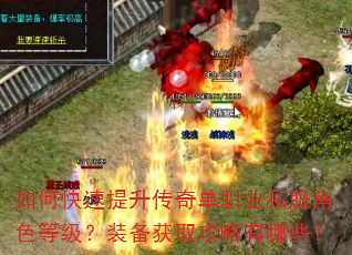 如何快速提升传奇单职业私服角色等级?装备获取攻略有哪些? 如何快速提升传奇单职业私服角色等级?装备获取攻略有哪些?