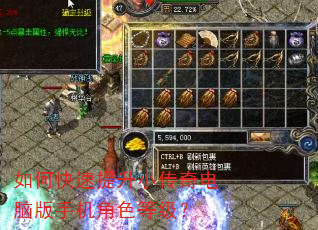 如何快速提升小传奇电脑版手机角色等级? 如何快速提升小传奇电脑版手机角色等级?