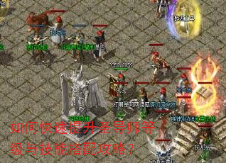 如何快速提升圣导师等级与技能搭配攻略? 如何快速提升圣导师等级与技能搭配攻略?