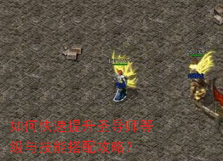 如何快速提升圣导师等级与技能搭配攻略? 如何快速提升圣导师等级与技能搭配攻略?