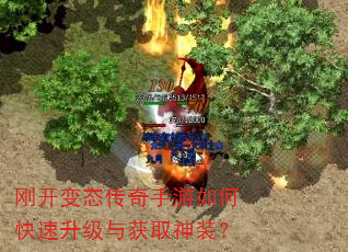 刚开变态传奇手游如何快速升级与获取神装? 刚开变态传奇手游如何快速升级与获取神装?
