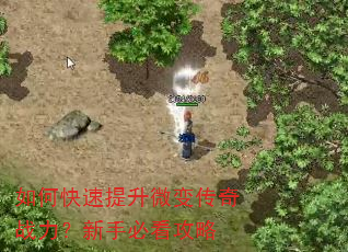 如何快速提升微变传奇战力?新手必看攻略 如何快速提升微变传奇战力?新手必看攻略