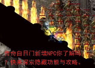 �������������NPC���˽��𣿿���̽�����ع����빥�ԡ�