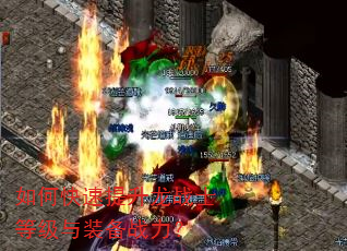 如何快速提升龙战士等级与装备战力? 如何快速提升龙战士等级与装备战力?