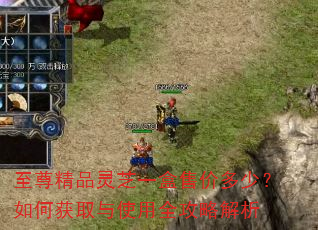 至尊精品灵芝一盒售价多少?如何获取与使用全攻略解析 至尊精品灵芝一盒售价多少?如何获取与使用全攻略解析