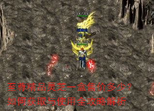 至尊精品灵芝一盒售价多少?如何获取与使用全攻略解析 至尊精品灵芝一盒售价多少?如何获取与使用全攻略解析