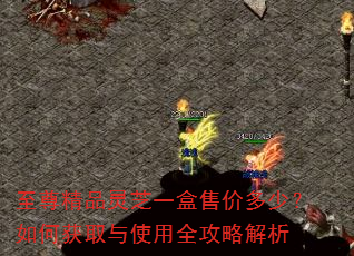 至尊精品灵芝一盒售价多少?如何获取与使用全攻略解析 至尊精品灵芝一盒售价多少?如何获取与使用全攻略解析