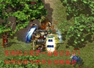 至尊精品灵芝一盒售价多少?如何获取与使用全攻略解析 至尊精品灵芝一盒售价多少?如何获取与使用全攻略解析