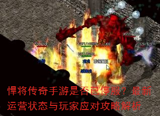 �������������Ƿ���ͣ����������Ӫ״̬�����Ӧ�Թ��Խ���