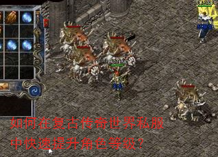 如何在复古传奇世界私服中快速提升角色等级? 如何在复古传奇世界私服中快速提升角色等级?
