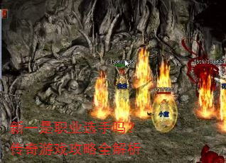 ��һ��ְҵѡ���𣿴�����Ϸ����ȫ����